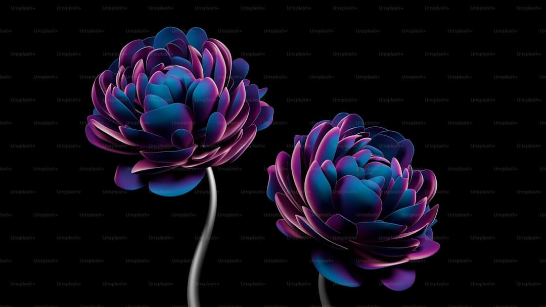 今天是你的生日歌曲原唱